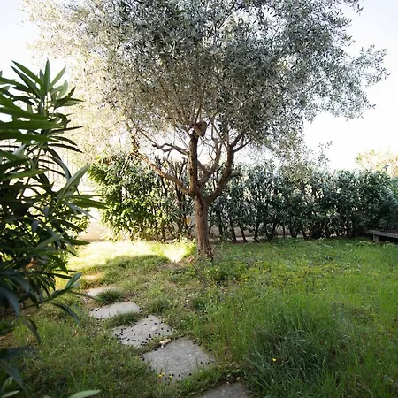 Apartamento Cecilia